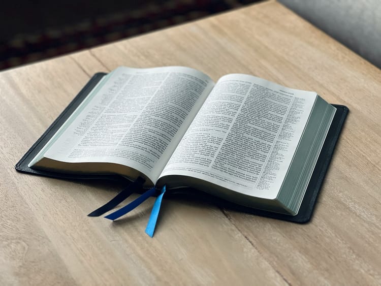 If God is for us, who can be against us?
