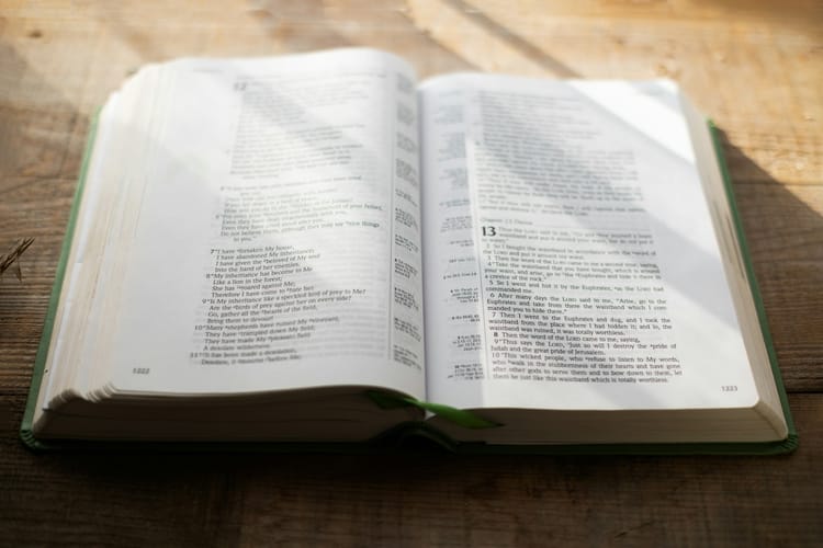 Finding Refuge in the Shadow of the Almighty