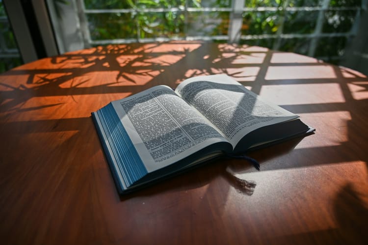 Let the Morning Bring Your Unfailing Love