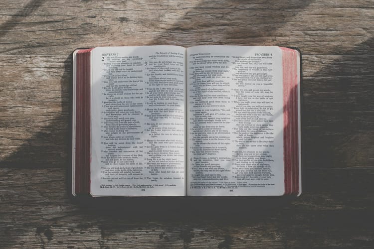 Finding Comfort in Distress