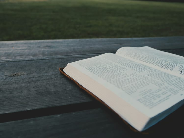 Finding Comfort in God’s Watchful Eyes