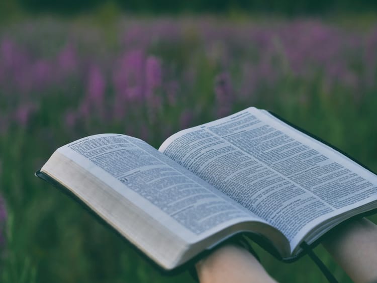 Finding Peace in Trust: A Reflection on Psalm 56:3