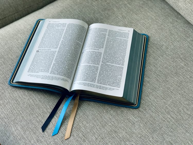 Finding Peace in Trust: A Reflection on Psalm 56:3