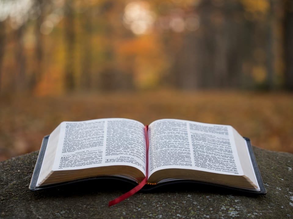 In My Distress, I Called to the Lord