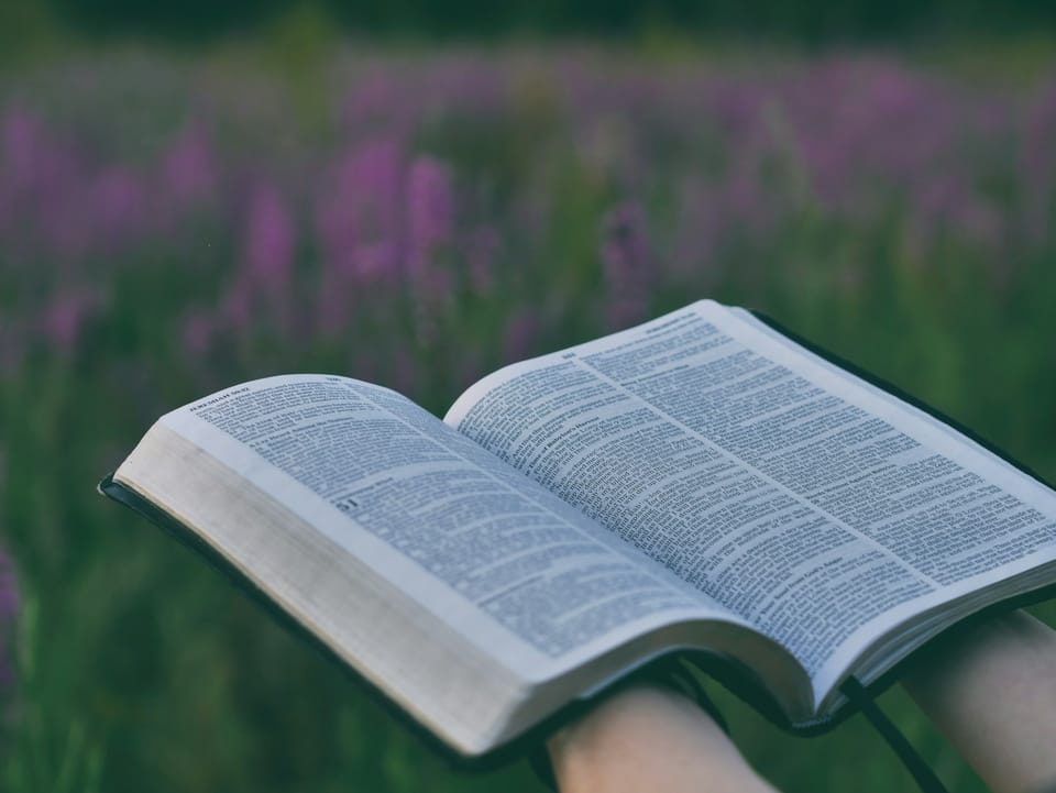 Finding Peace in Trust: A Reflection on Psalm 56:3